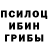 Галлюциногенные грибы MAGIC MUSHROOMS The Hastin