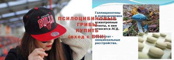 шишки Балахна