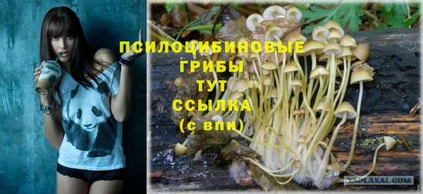 PSILOCYBIN Волосово