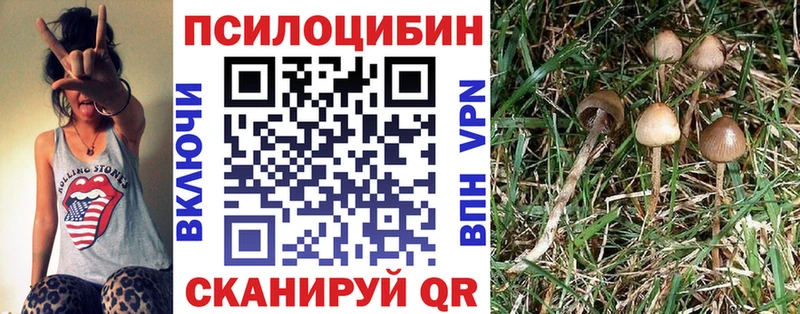 цена наркотик  Кяхта  Галлюциногенные грибы Cubensis 